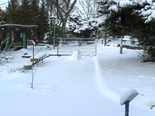 Schneelandschaft im Dezember 2009